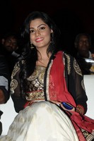 Anisha Photo Gallery